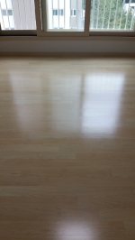 ̹
